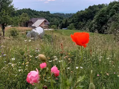 a field of flowers with a barn in the background at Glamping - Hayrack Vesel in Trebnje