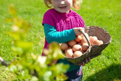 a little girl holding a basket of eggs at Glamping - Hayrack Vesel in Trebnje