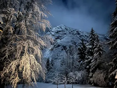 a snow covered mountain with trees in the foreground at Red Beech Cabin - An Alpine Cabin near Lake Bohinj in Bohinj
