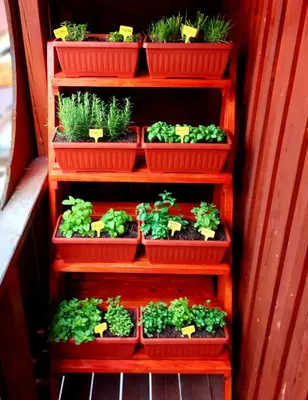 a set of four shelves with potted plants on them at Villa Nebina in Rateče