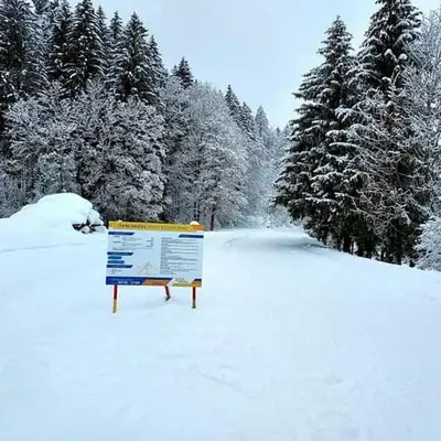 a sign in the snow in front of some trees at Villa Nebina in Rateče