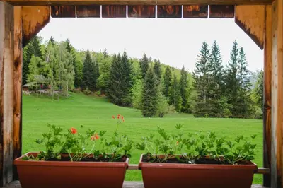 a window with two pots of flowers in a field at Wood house Irena-Počitniška hiša in Bohinj