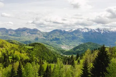 a view of a mountain valley with trees and mountains at Wood house Irena-Počitniška hiša in Bohinj