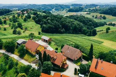an aerial view of a house in a vineyard at Wine & Tourism Bračko in Jakobski Dol