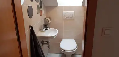 a small bathroom with a toilet and a sink at 7 LAKES apartment in Bohinj