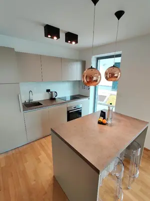 a kitchen with a large island in the middle at Villa Recica North in Bled