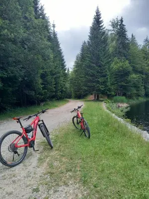 two bikes parked on the grass next to a river at Peaceful Rogla Apartment in Zreče