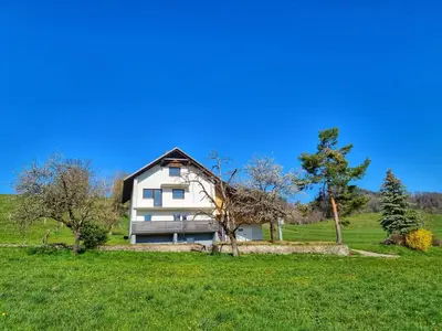 a white house on a green field with trees at M&M Apartment in Zgornje Gorje