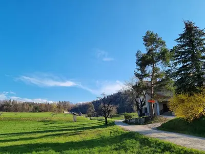 a house in the middle of a green field at M&M Apartment in Zgornje Gorje