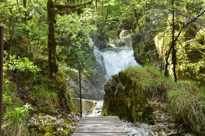 a waterfall in a forest with a wooden bridge at Apartment DOMI in Soča