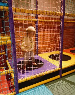 a dog is sitting in a cage at ONE66 Hotel in Ljubljana