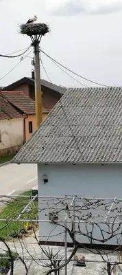 a white building with a bird nest on top of it at Bela golobica Bogojina in Bogojina