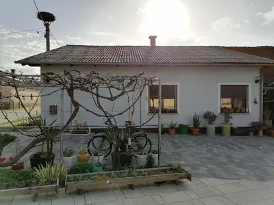 a house with a bike parked in front of it at Bela golobica Bogojina in Bogojina