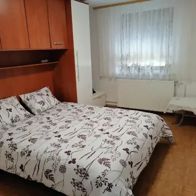 Bela golobica Bogojina