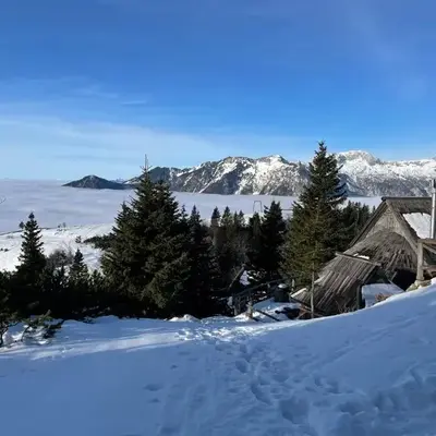 Alpine Chalet Velika Planina - Irenca - I Feel Alps