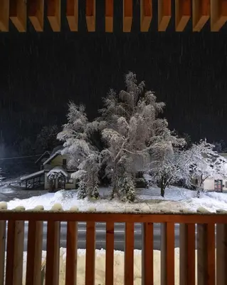 a tree covered in snow on a fence at Triangel Boutique Hotel in Kranjska Gora
