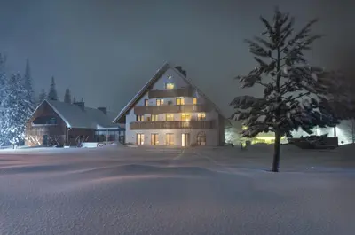 a large house in the snow with a tree at Triangel Boutique Hotel in Kranjska Gora