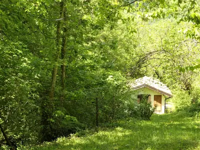 a small house in the middle of a forest at Hiša ob potoku in Avče