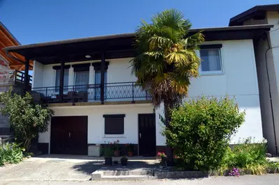 a palm tree in front of a white house at Hiša v Travniku in Šmartno