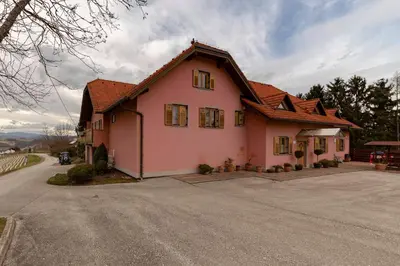 a pink house on the side of a road at Turistična kmetija Protner in Pernica