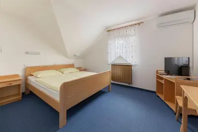 a bedroom with a bed and a television at Turistična kmetija Protner in Pernica