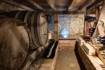a wine cellar with a large barrel and a blue vase at Villa Xaxat in Koper