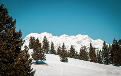 a snow covered mountain with trees in the foreground at Chalet Neza Velika Planina in Stahovica