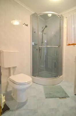a bathroom with a toilet and a glass shower at Flower house Podčetrtek in Podčetrtek
