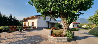 a house with a tree and flowers in front of it at Pri Stari murvi in Vogrsko