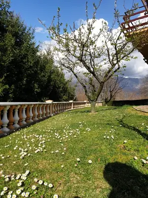 a park with a tree and flowers in the grass at Pri Stari murvi in Vogrsko