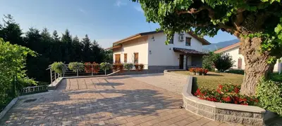 a house with a tree and a brick walkway at Pri Stari murvi in Vogrsko