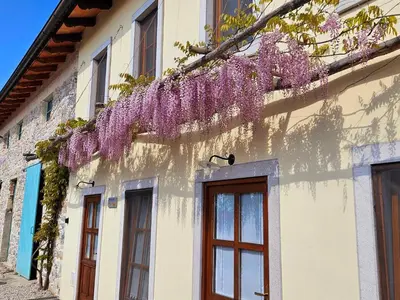 a building with purple flowers on the side of it at Apartma Kras in Komen