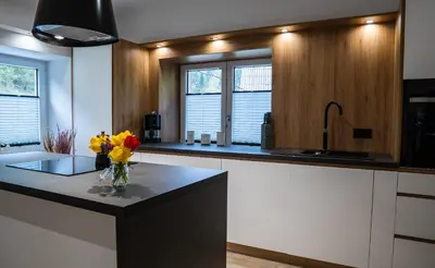a kitchen with a counter with flowers in a vase at Zelena dolina in Cerkno