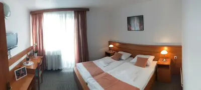 a hotel room with a bed and a television at Restavracija in prenočišča ČARDA in Martjanci