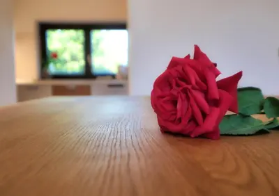 a red rose sitting on top of a wooden table at Počitniška hiša Miklavčič Primorska in Divača
