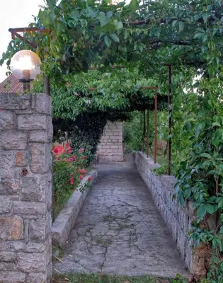 a stone pathway with an arch with flowers and a lamp at Počitniška hiša Miklavčič Primorska in Divača