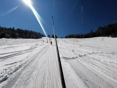 a pole in the snow on a ski slope at Apartma Pohorje Bolfenk 5010 in Pohorje