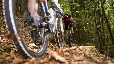 a person riding a bike on a trail in the woods at Apartma Pohorje Bolfenk 5010 in Pohorje