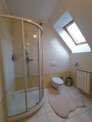 a bathroom with a shower and a toilet at Apartma Pohorje Bolfenk 5010 in Pohorje
