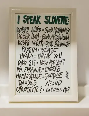 a framed art print with the words i speak slower at 150 steps to the main square in Ljubljana