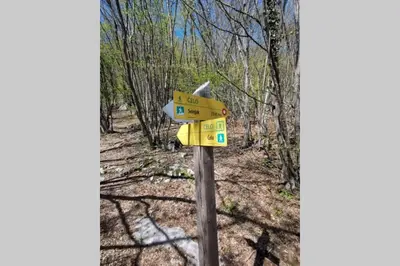 a sign on a trail in the woods at My House in Bovec
