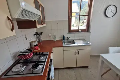 a small kitchen with a stove and a sink at My House in Bovec