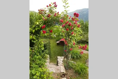 a garden with red roses and a gate at Wooden cabin with a view in Idrija