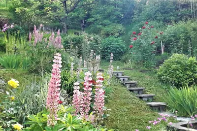 a garden with a bunch of flowers and stairs at Wooden cabin with a view in Idrija