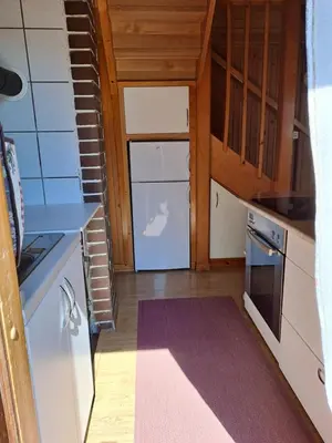 a kitchen with white appliances and a purple rug at Wooden cabin with a view in Idrija