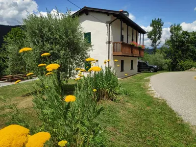 a building with a bunch of yellow flowers next to a road at Tinčeva hiša in Kanal