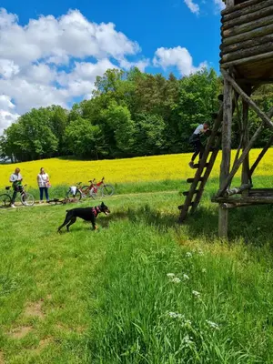 a dog running in a field with a group of people at Balajceva domačija - Moravske Toplice in Moravske Toplice