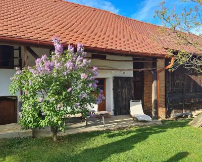 a house with a chair and a tree with purple flowers at Balajceva domačija - Moravske Toplice in Moravske Toplice