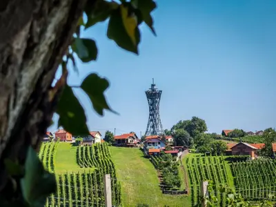 a tower in the middle of a vineyard with houses and a field at Balajceva domačija - Moravske Toplice in Moravske Toplice