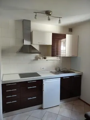 a kitchen with a sink and a counter top at Apartments Bohinjc in Bohinj